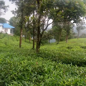 Green Valley Tea House Vagamon